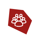 visiter-rive-d-arts-les-ponts-de-ce-angers-groupe